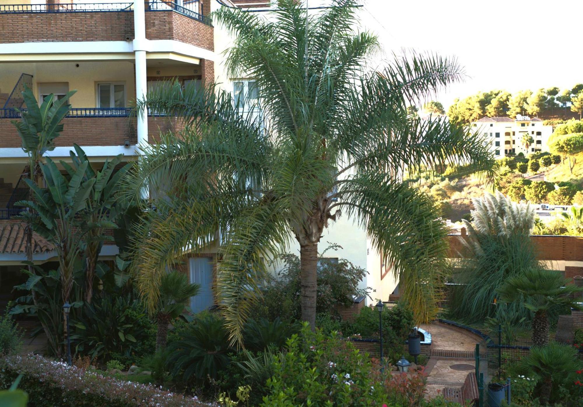 Beautiful - Miraflores Mijas Costa Apartment